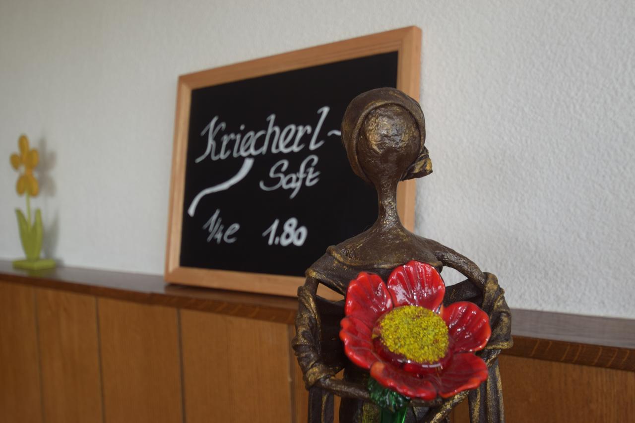 Leiben Gasthaus Donaublick מראה חיצוני תמונה